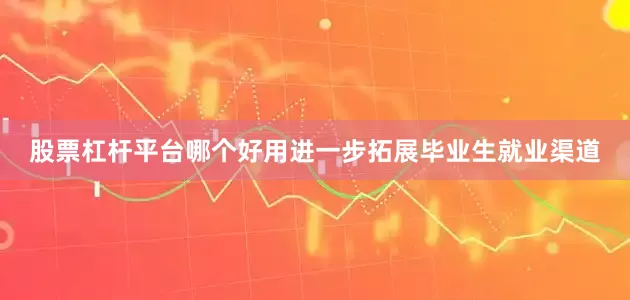 股票杠杆平台哪个好用进一步拓展毕业生就业渠道