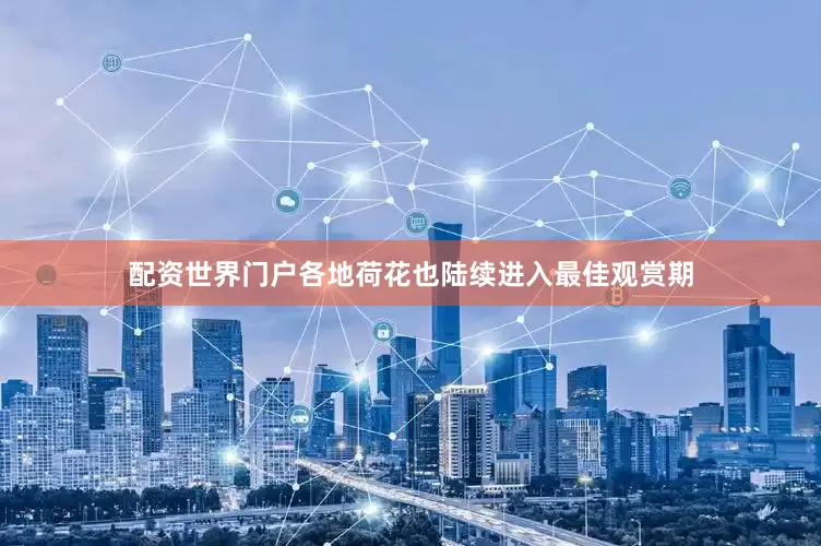 配资世界门户各地荷花也陆续进入最佳观赏期